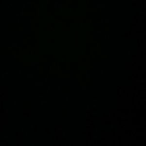 Meet your Posher, Terra